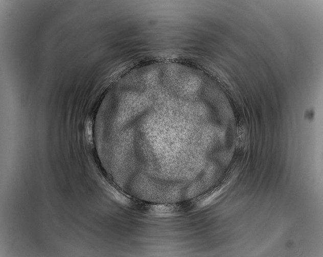 X0000098200238200805151236