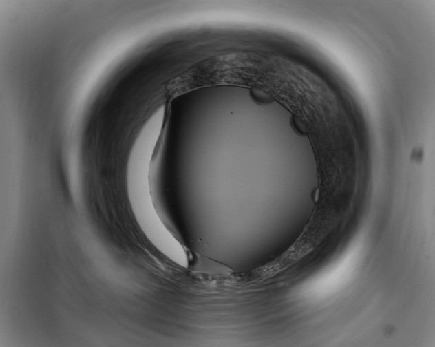 X0000098200239200805151236