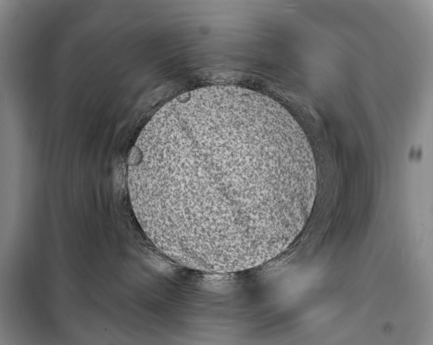 X0000098200240200805151236