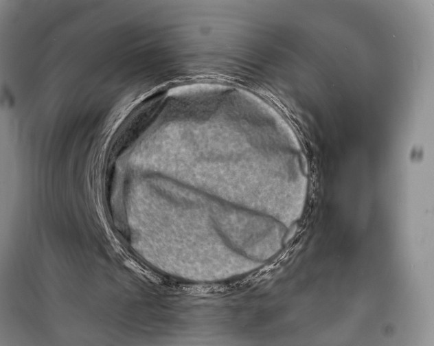 X0000098200241200805151235
