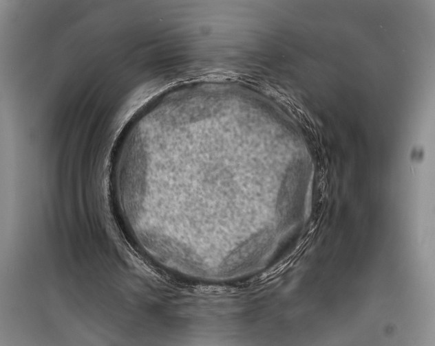 X0000098200242200805151235