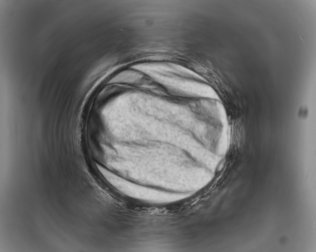 X0000098200243200805151235
