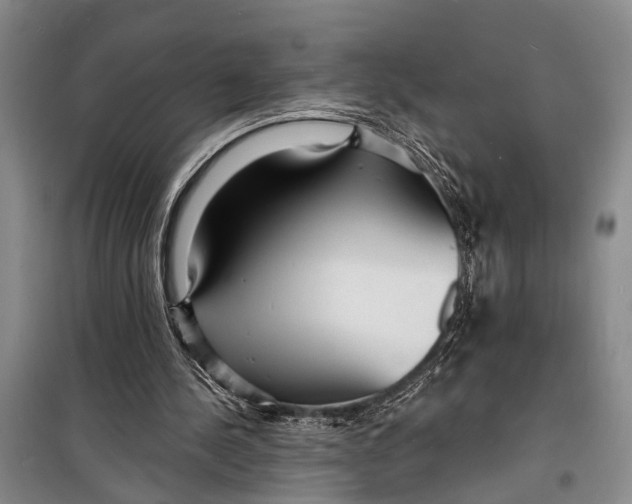 X0000098200244200805151235