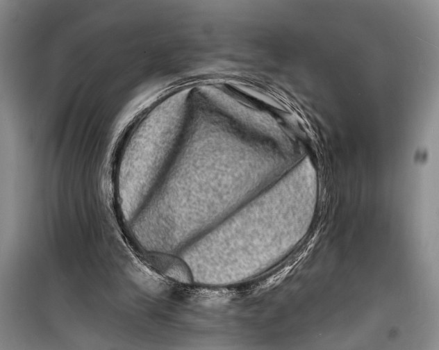 X0000098200245200805151235