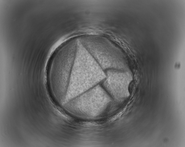 X0000098200246200805151235