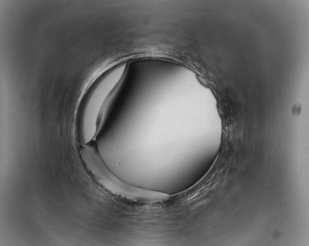 X0000098200248200805151235