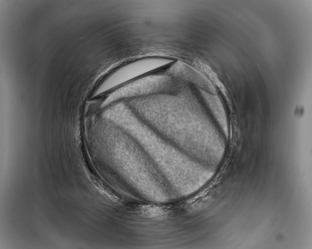 X0000098200249200805151235