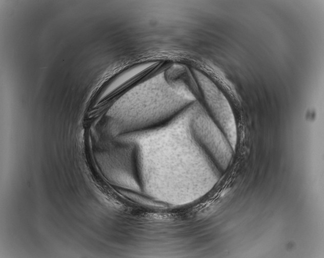 X0000098200250200805151235
