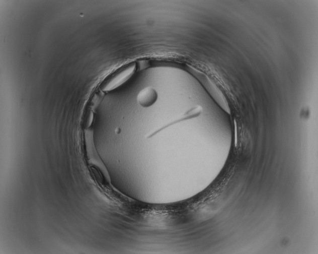 X0000098200252200805151235