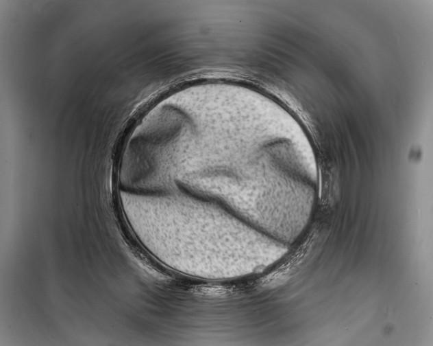 X0000098200253200805151235