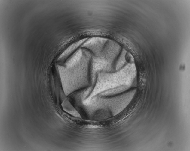 X0000098200255200805151235