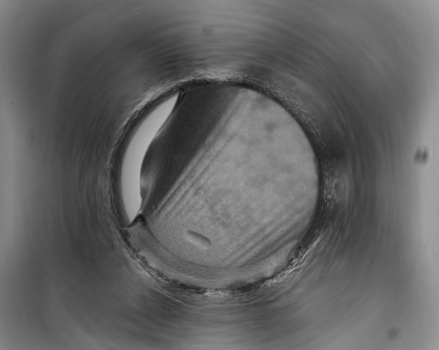 X0000098200256200805151235