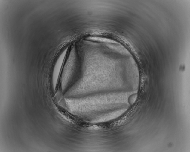 X0000098200257200805151235