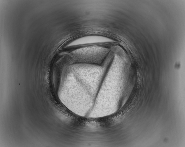 X0000098200258200805151235