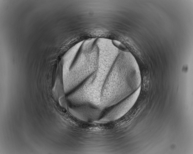 X0000098200259200805151235