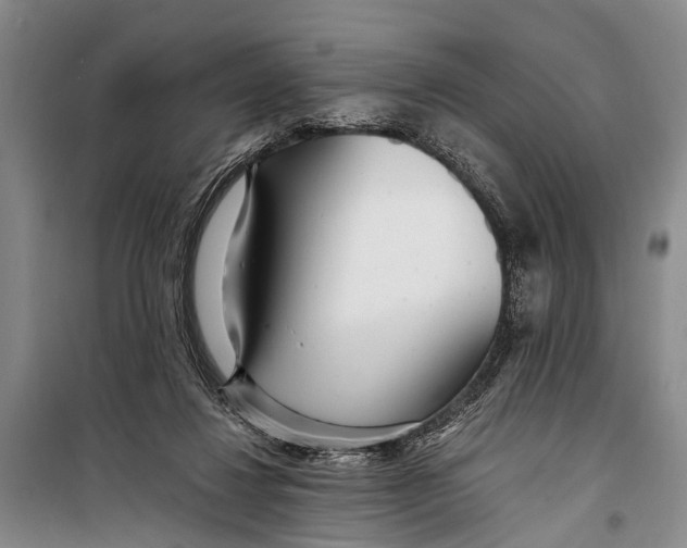 X0000098200260200805151235