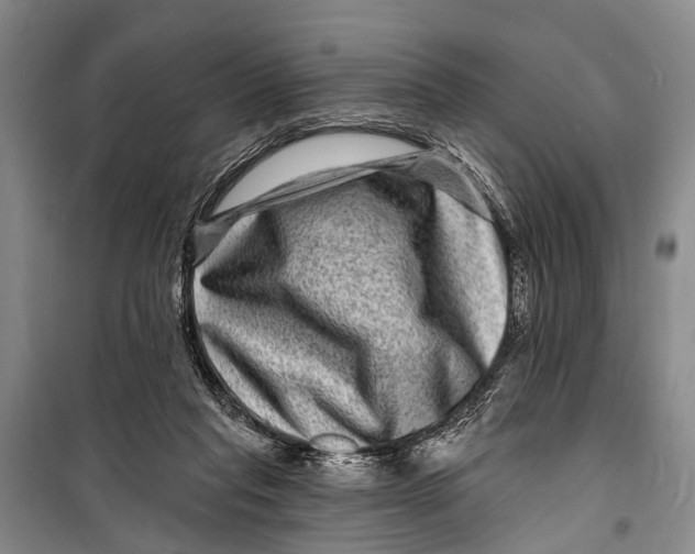 X0000098200261200805151235