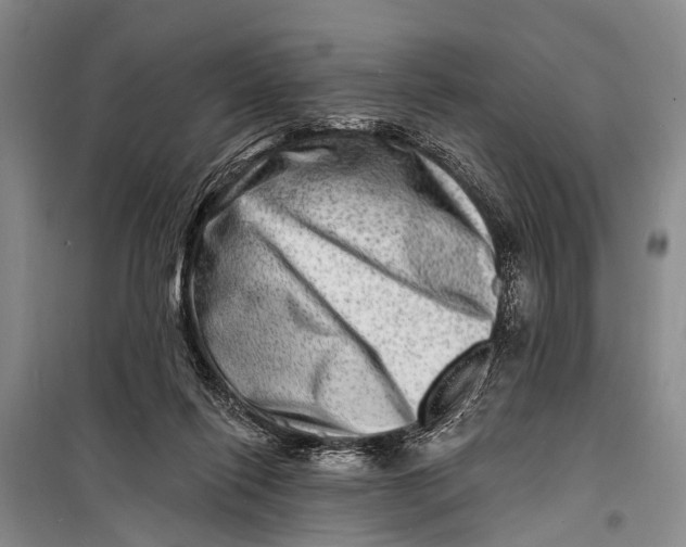 X0000098200262200805151235