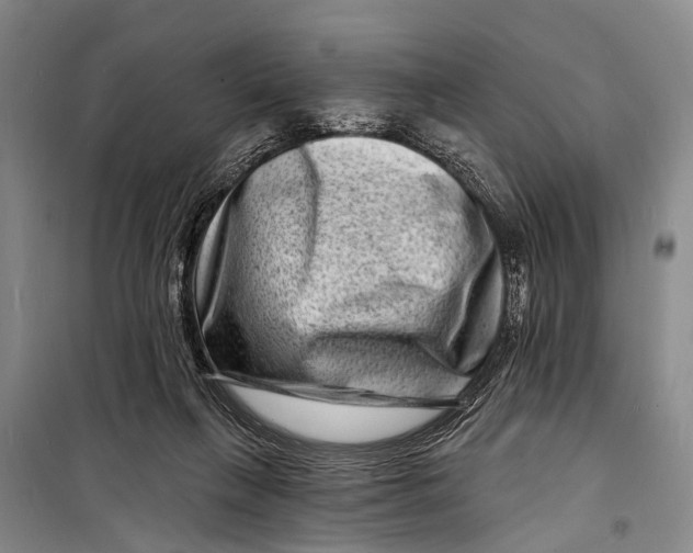 X0000098200263200805151235