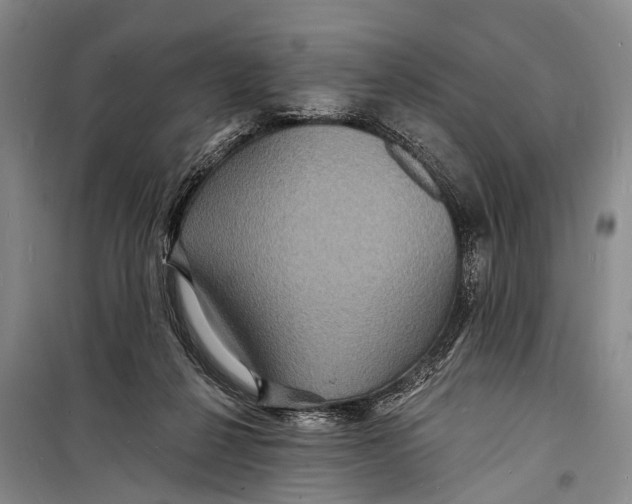X0000098200264200805151235