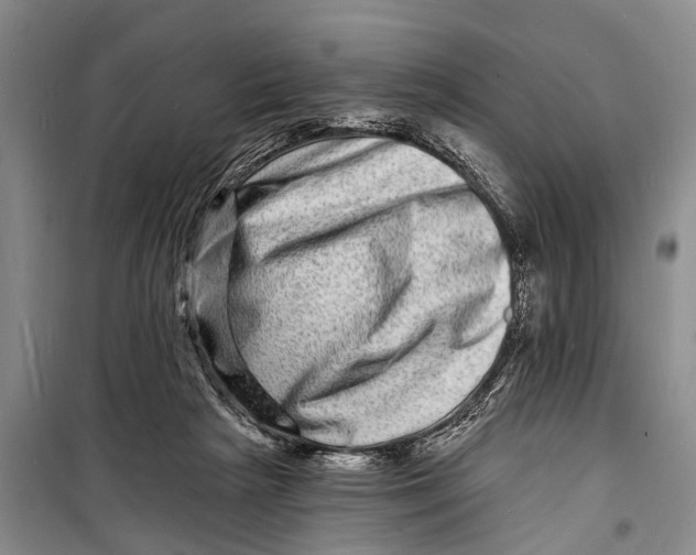 X0000098200265200805151236