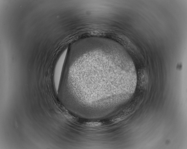 X0000098200266200805151236