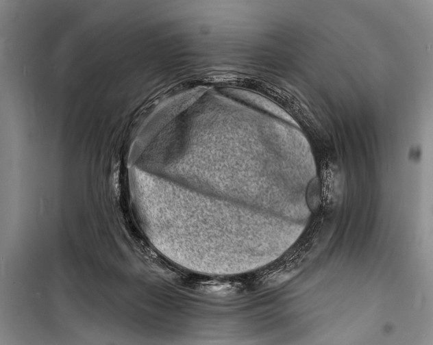 X0000098200267200805151236