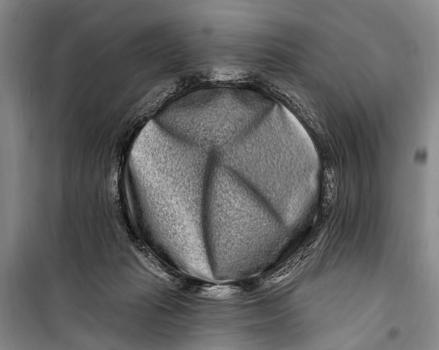 X0000098200269200805151236