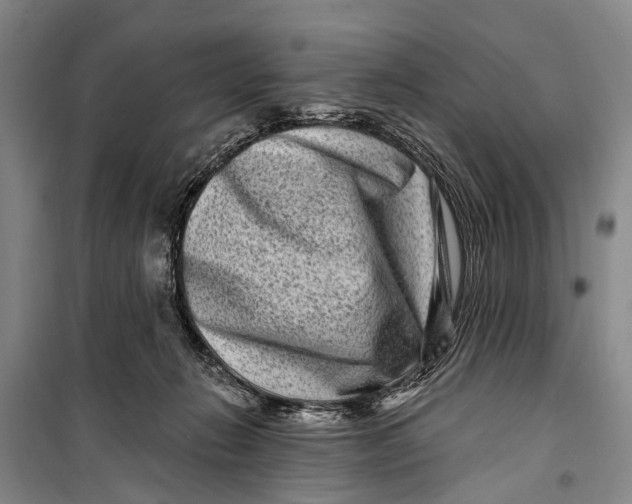 X0000098200270200805151236