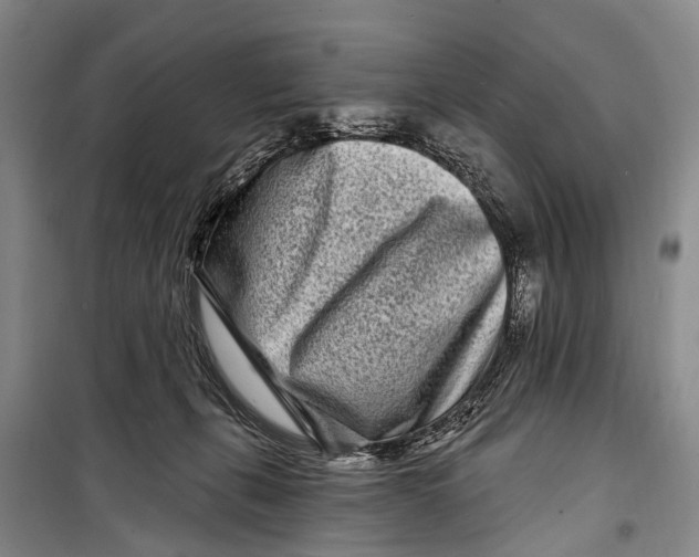 X0000098200271200805151236