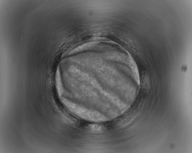 X0000098200272200805151236