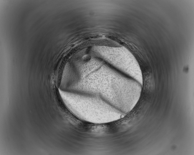 X0000098200274200805151236