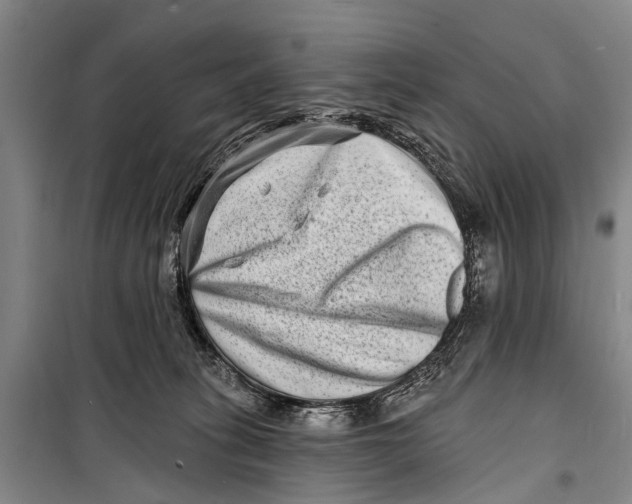 X0000098200275200805151236