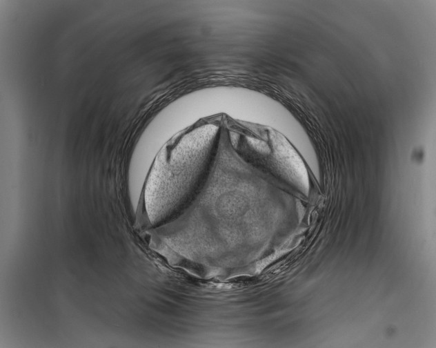 X0000098200276200805151236