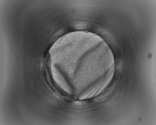 X0000098200277200805151236