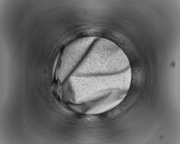 X0000098200278200805151236