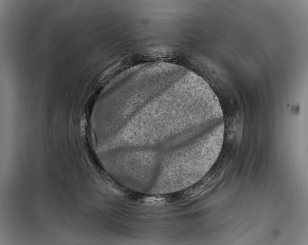 X0000098200279200805151236