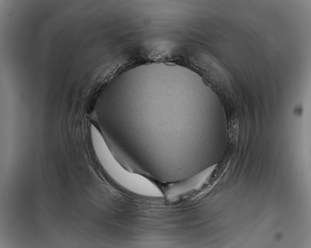 X0000098200280200805151236