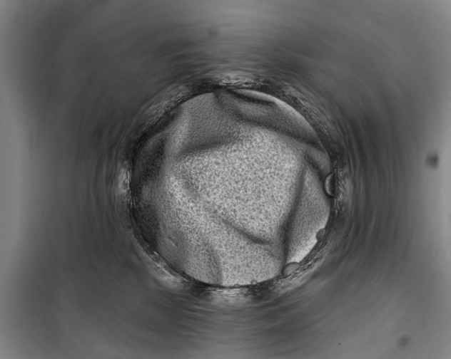 X0000098200281200805151236