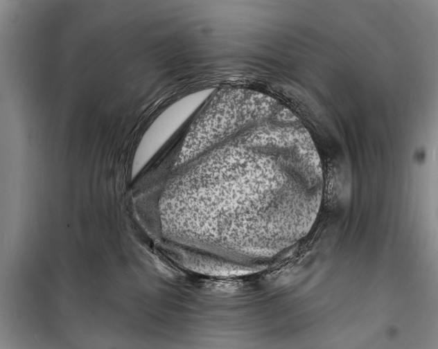 X0000098200282200805151236