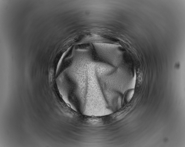 X0000098200283200805151236