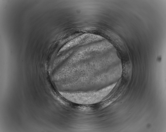 X0000098200284200805151236