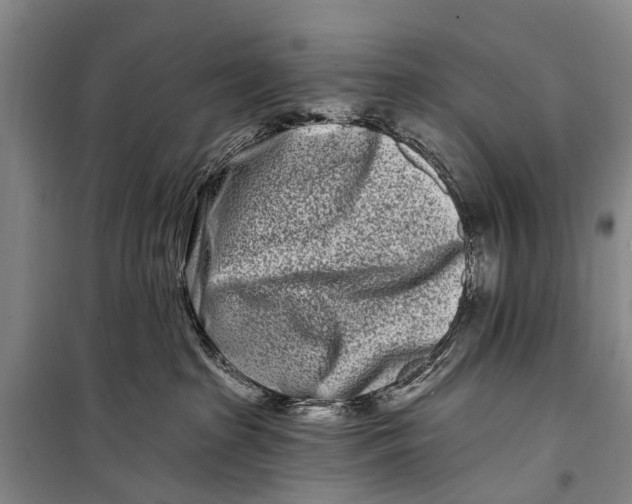 X0000098200285200805151236