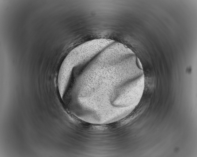 X0000098200286200805151236