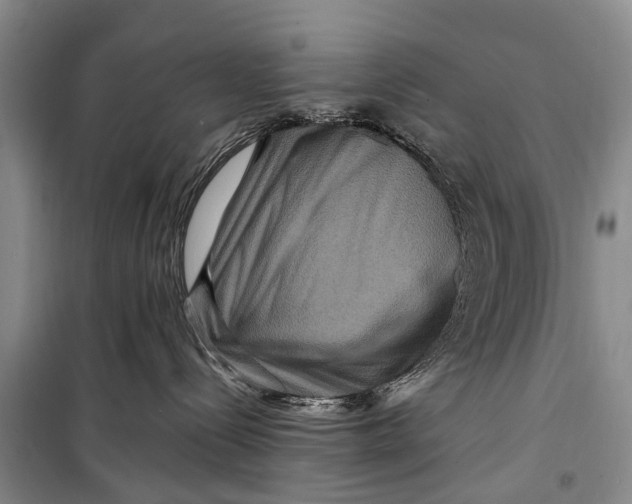 X0000098200288200805151236