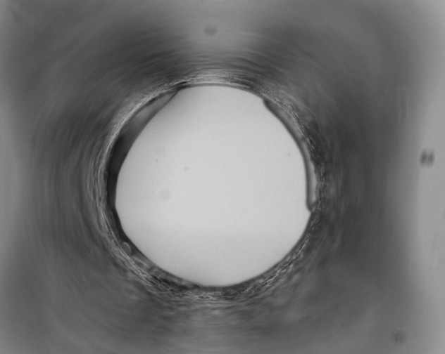 X0000098200289200805151235