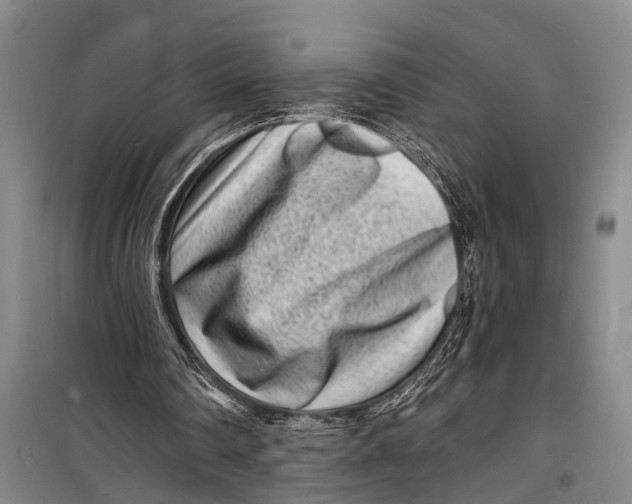 X0000098200290200805151235