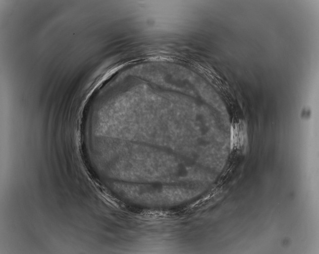 X0000098200291200805151235