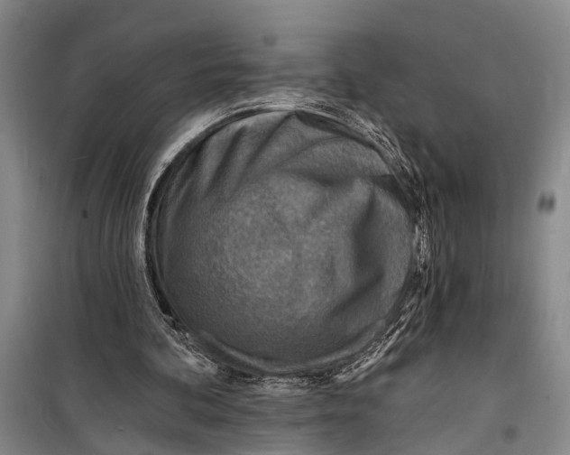 X0000098200292200805151235