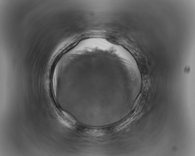 X0000098200293200805151235
